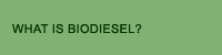What is Biodiesel?