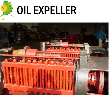 Oil Expeller